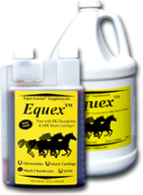 Equex™