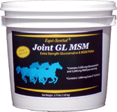 Equi-Sential® Joint GL MSM